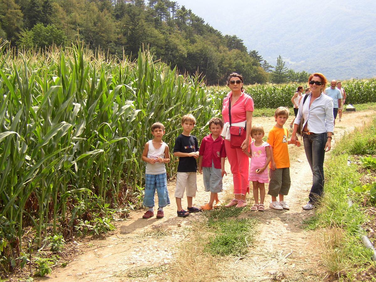 Ca' Dei Boieti Casa Vacanze Ronzo-Chienis Ngoại thất bức ảnh